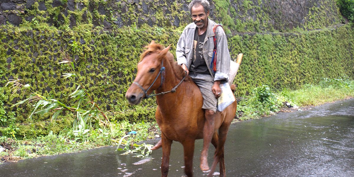 flores island tour