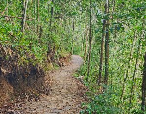hike wae rebo