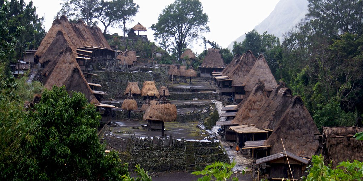 flores island tour