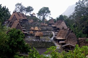 flores island tour