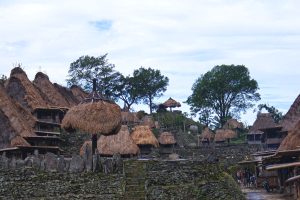 flores tours