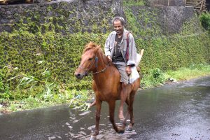 tours flores