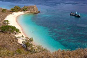 komodo island tour