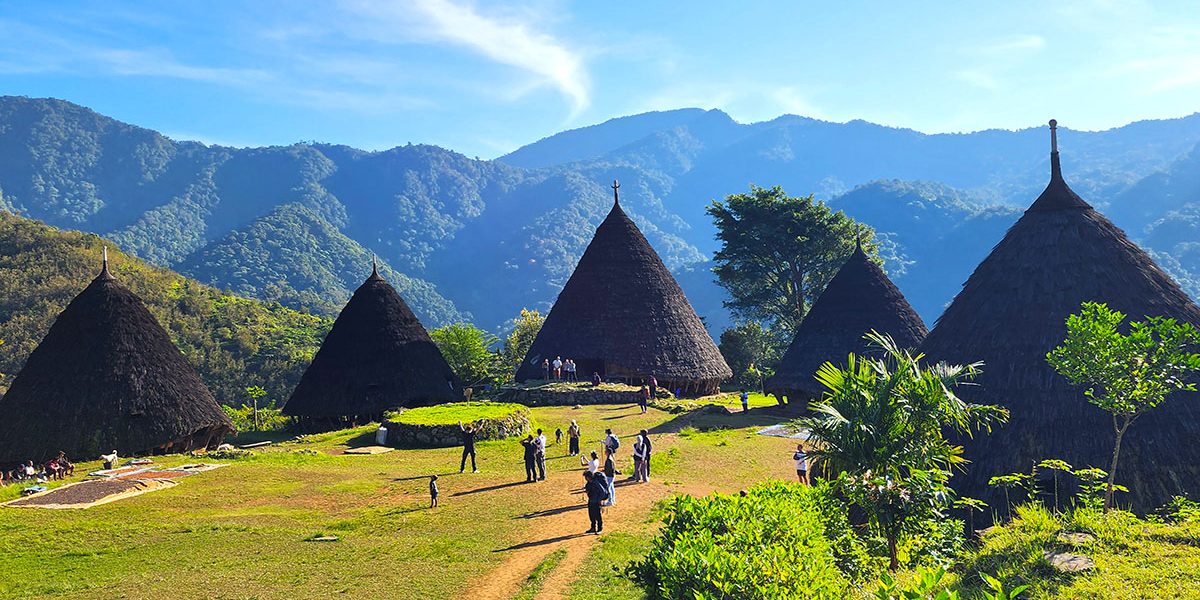 flores tours